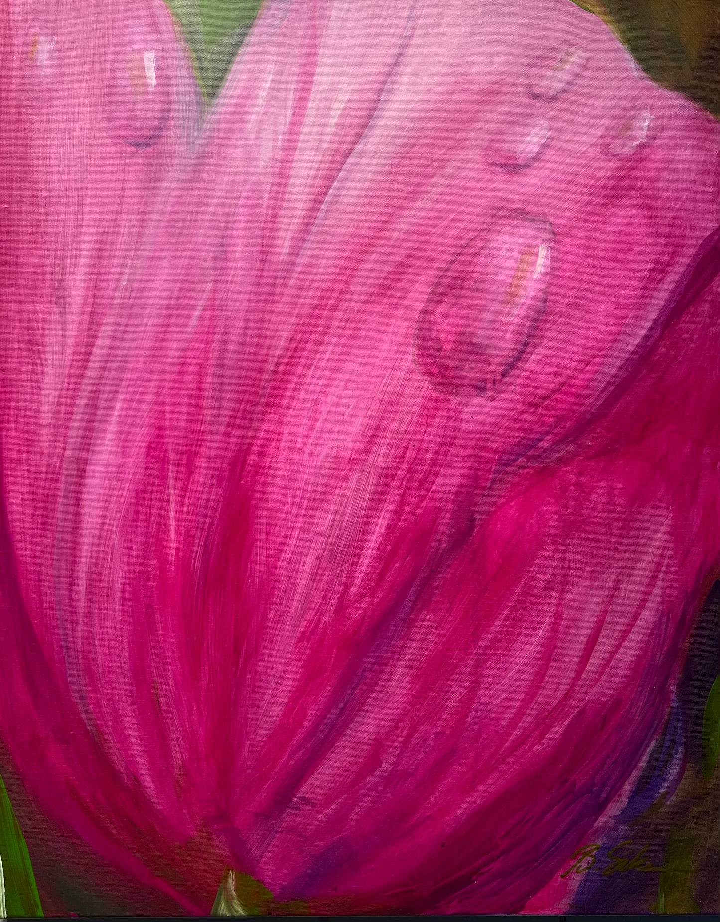Hot Pink Tulip