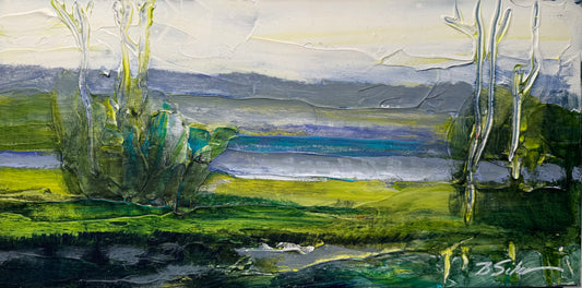 Calm Vista 1