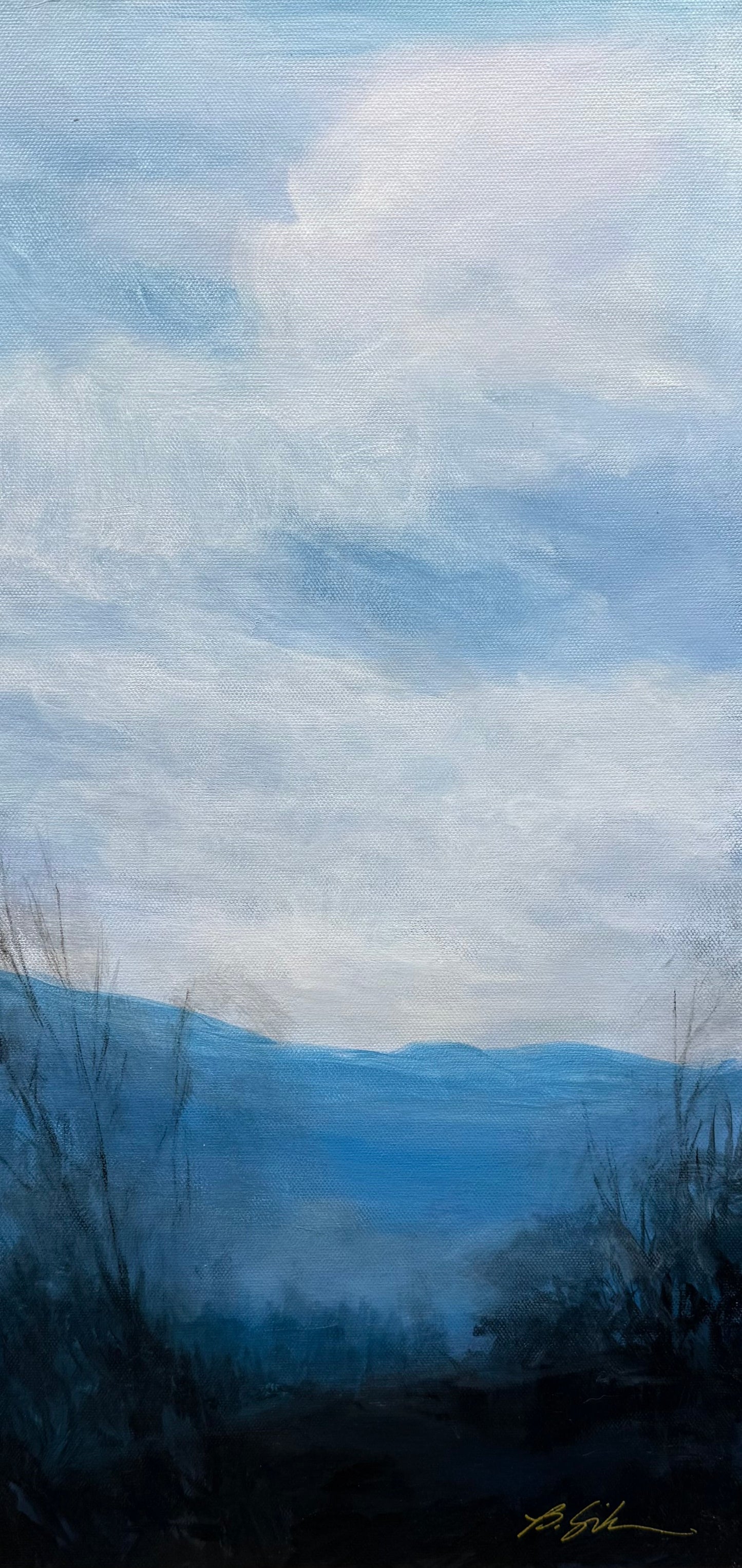 Overlook 1