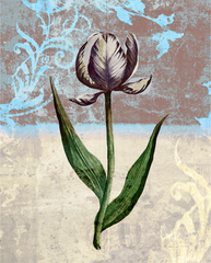 Tulip 1 - Blue