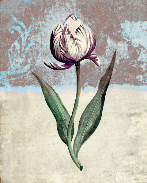 Tulip 2 - Blue